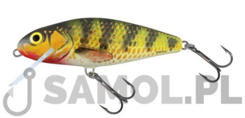SALMO WOBLER PERCH HOP.jpg