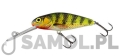SALMO WOBLER PERCH SDR HOP.jpg