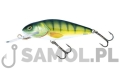 SALMO WOBLER PERCH DR PH PHH.jpg
