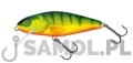 SALMO WOBLER PERCH HP HPH.jpg