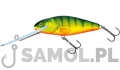 SALMO WOBLER PERCH SDR HP HPH.jpg