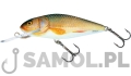 SALMO WOBLER PERCH DR RR RER.jpg