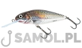 SALMO WOBLER PERCH DR HGS.jpg
