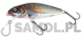 SALMO WOBLER PERCH SR HGS.jpg