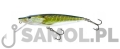 SALMO WOBLER PIKE RPE.jpg