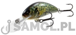 Wobler Salmo Hornet RCR