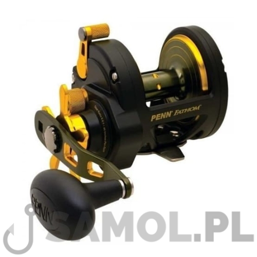 Multiplikator Penn Fathom Star Drag 25N.jpg