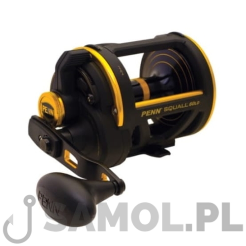 Multiplikator Penn Squall Lever Drag 60LH SQL60LDLH.jpg