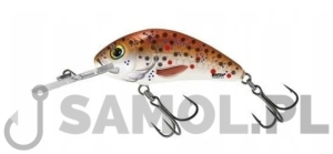 Wobler Salmo Rattlin Hornet 4,5cm Floating BHT