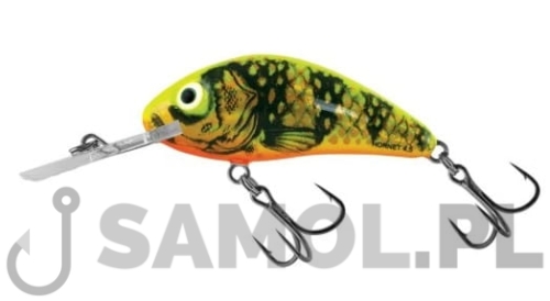 Wobler Salmo Rattlin Hornet Floating GFP.jpg