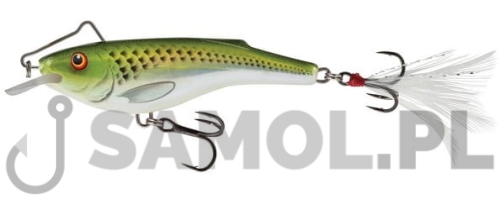 Wobler Salmo Rail Shad 6cm HNS.jpg