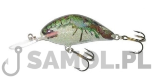 WOBLER SALMO HORNET SCW