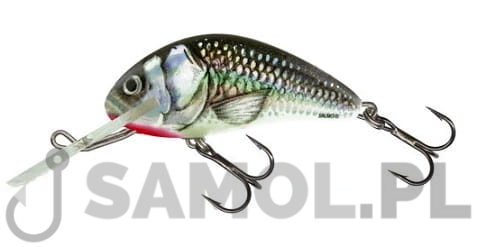 Wobler Salmo Hornet HGS.jpg