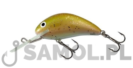 Wobler Salmo Hornet MO.jpg