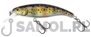 Wobler Salmo Slick Stick 6cm HGB