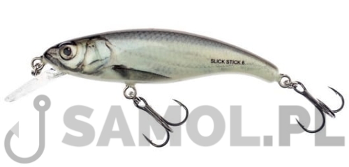 Wobler Salmo Slick Stick 6cm RBL.jpg