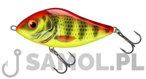 Wobler Salmo Slider BRP.jpg