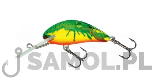 Wobler Salmo Hornet HCW.jpg