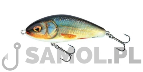 Wobler Salmo Fatso RER.jpg