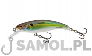 Wobler Salmo Slick Stick 6cm RHS