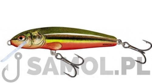 Wobler Salmo Minnow RBD.jpg