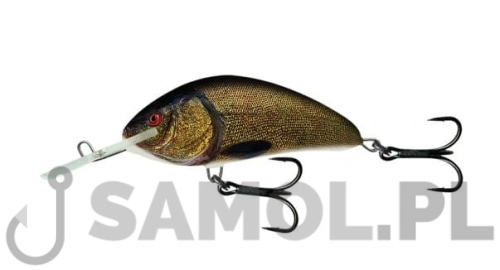 Wobler Salmo Hornet SNT.jpg