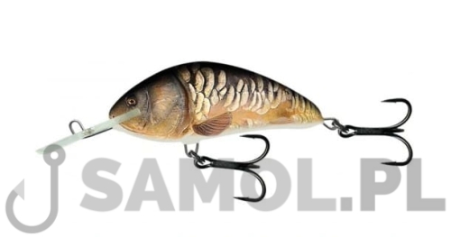 Wobler Salmo Hornet SMI.jpg