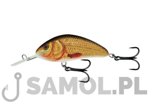 Wobler Salmo Hornet SGC.jpg