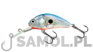 Wobler Salmo Hornet SBS