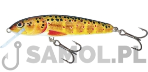 SALMO WOBLER MINNOW T / TRO