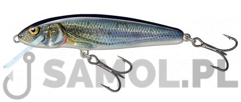 Wobler Salmo Minnow SPL.jpg