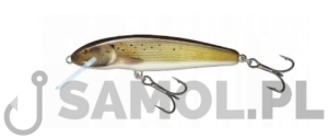 SALMO WOBLER MINNOW GRY