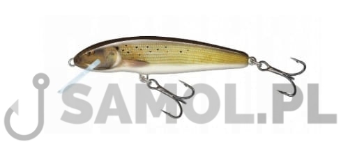 Wobler Salmo Minnow GRY.jpg