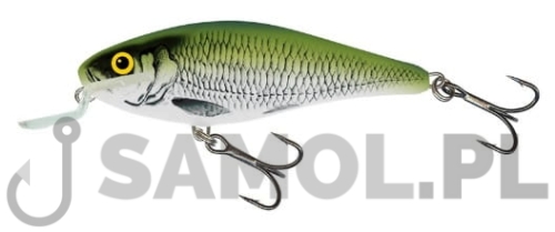 Wobler Salmo Executor OLB.jpg