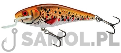 Wobler Salmo Executor HGK.jpg
