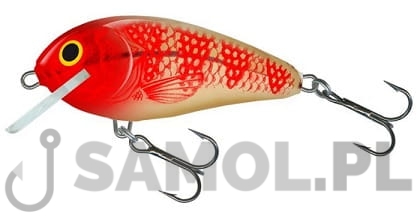 Wobler Salmo Butcher GEH.jpg