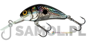Wobler Salmo Hornet BSS
