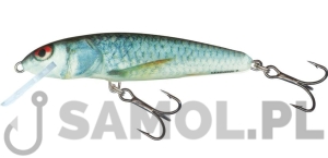 SALMO WOBLER MINNOW RD / RDE