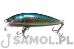 WOBLER DORADO CLASSIC 11CM F B