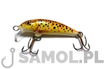 WOBLER DORADO CLASSIC 5CM F TR