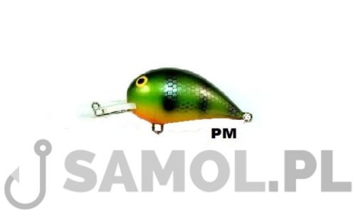 ALSKA PM.jpg