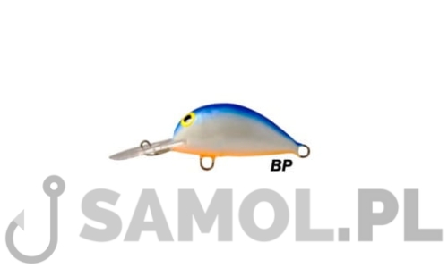 ALASKA BP.jpg