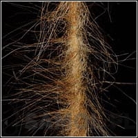 f9466c565865d21804cb71fc4e5ff352cae8603f