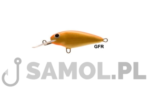 INVADER GFR.jpg