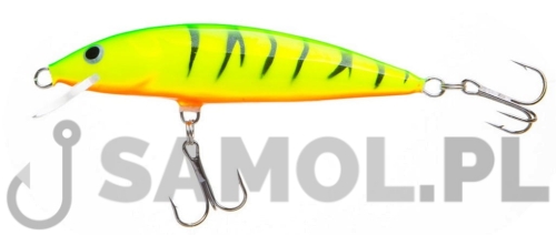 WOBLER DORADO CLASSIC FT.jpg