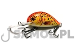 WOBLER DORADO ALASKA 2,5CM F FTR