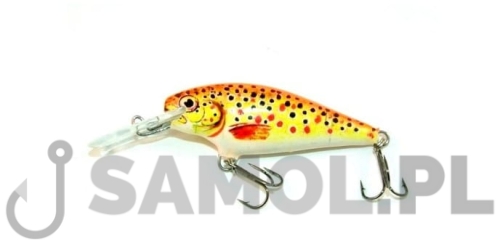 WOBLER DORADO INVADER FTR.jpg