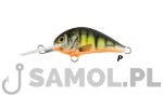 WOBLER DORADO BLAGIER 3,5CM F P