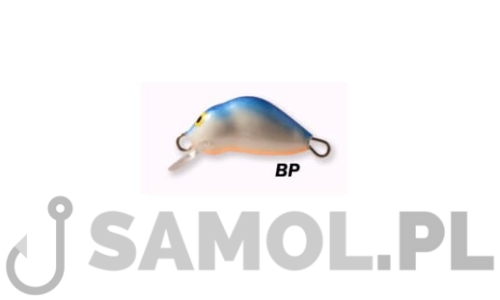 MAGIC BP.jpg