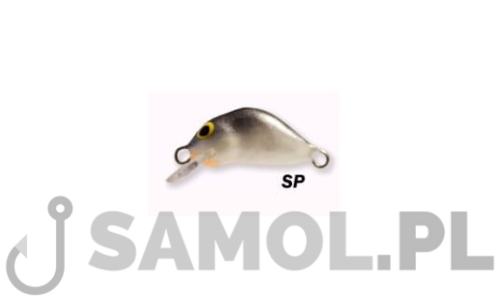 MAGIC SP.jpg